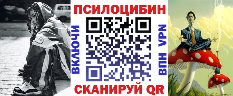 Галлюциногенные грибы Psilocybe  Бакал 